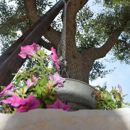 Vakantiehuis Quei Trulli Divini