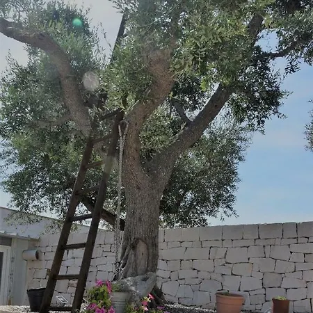 Quei Trulli Divini Locorotondo